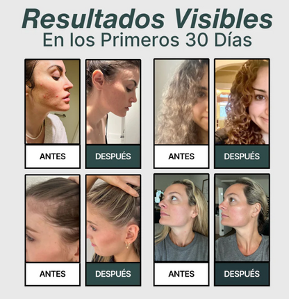 KIT DUCHA SHOWERPLUS: Máxima Presión 7 EN 1